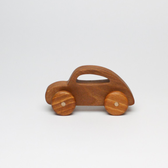 Walnut Car Beetle