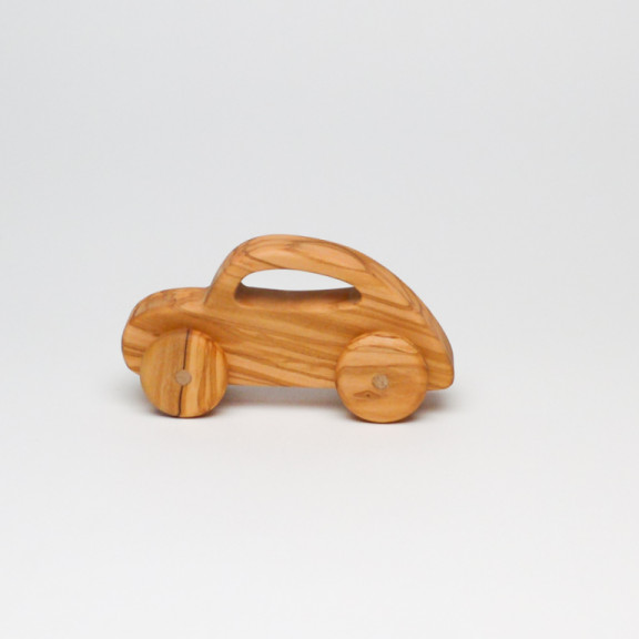 Olive car Beetle